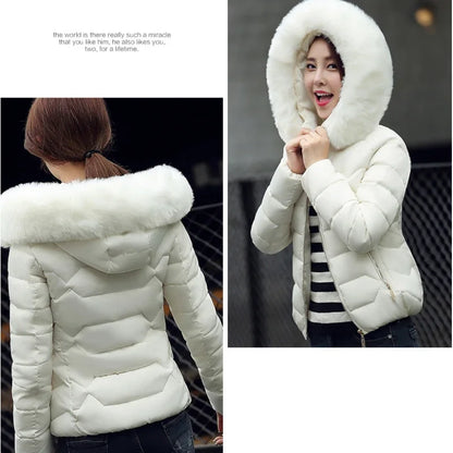 Women's Winter Jacket Padding Down Cotton Jacket New Korean Fashion Parkas Hooded Short Fur Collar Coat Warm Winter Coat Women